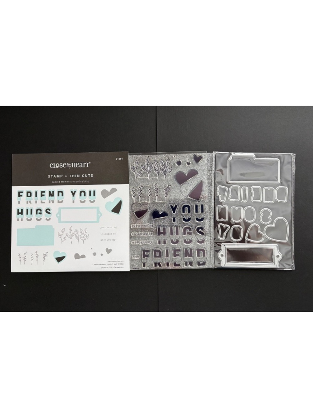 Close To My Heart Candid Moments Stamp + Thin Cuts Die Set Z4394